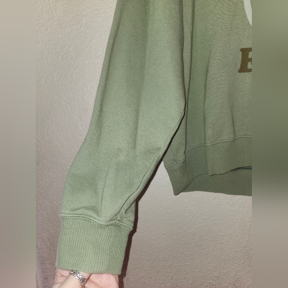 ☮️EUC American Eagle "AE☮️ Graphic Crewneck Sweatshirt" in "Dusty Sage" Medium☮️ - Picture 7 of 11